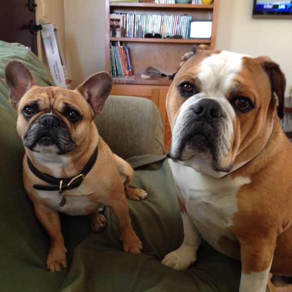 Meet your Posher, Laura - Picture 3 of 13